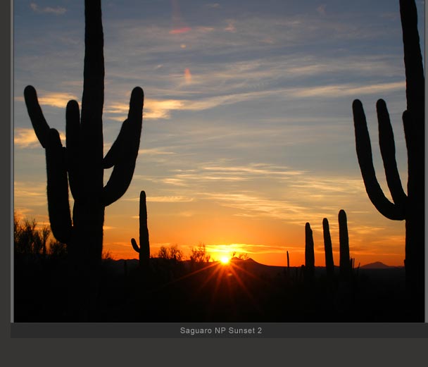 Saguaro NP Sunset 2